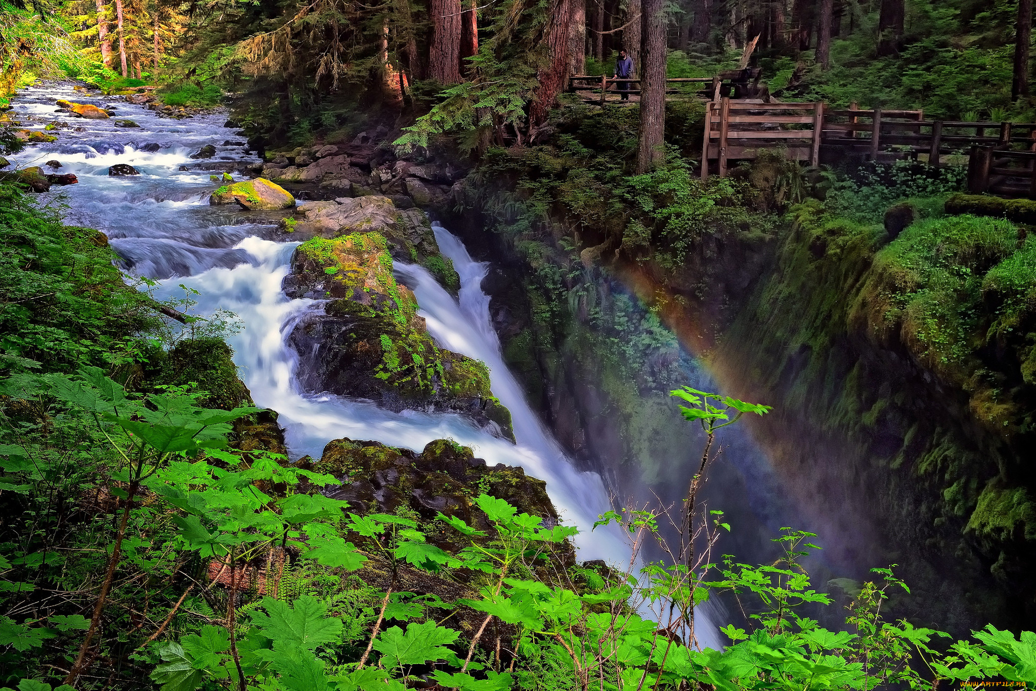 sol, duc, falls, olympic, national, park, washington, , , , , 